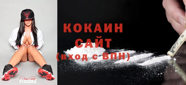 крисы Алзамай