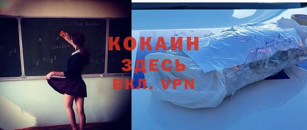 твердый Алексин