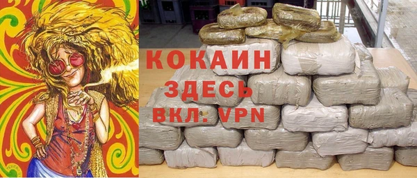 крисы Алзамай