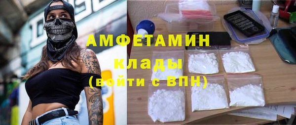 крисы Алзамай