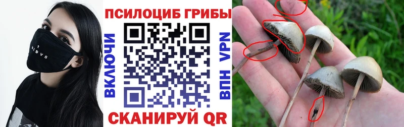 Галлюциногенные грибы MAGIC MUSHROOMS  даркнет сайт  Кукмор 